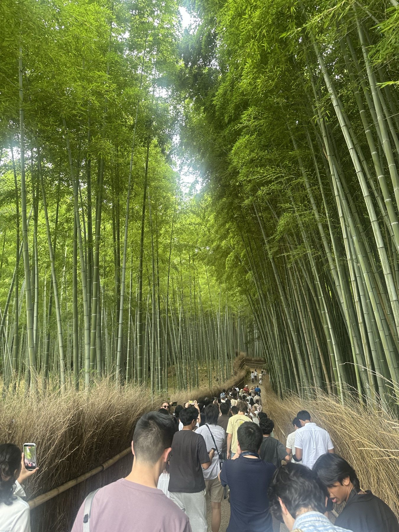 Japan 2026 recap photo 3