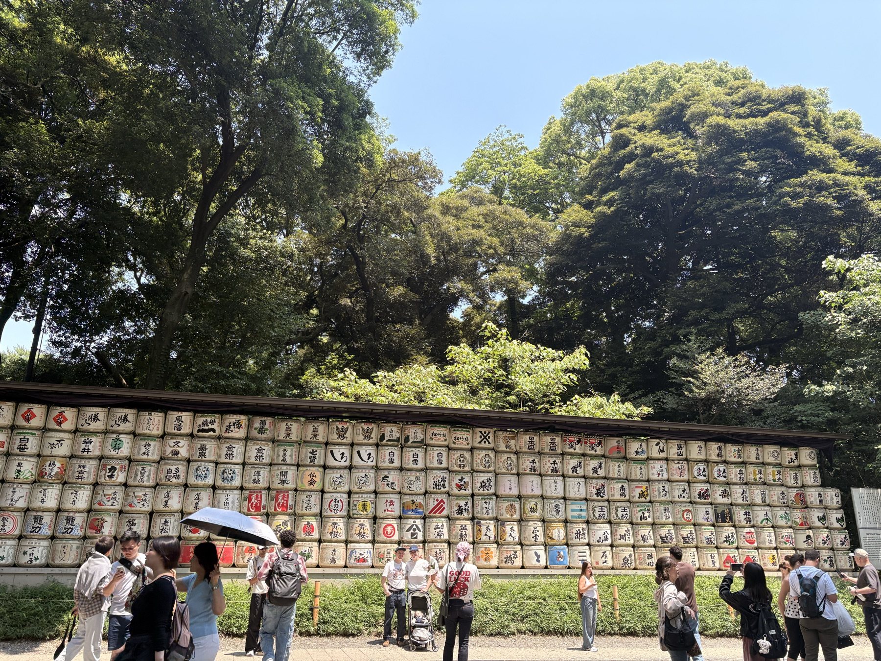 Japan 2026 recap photo 6